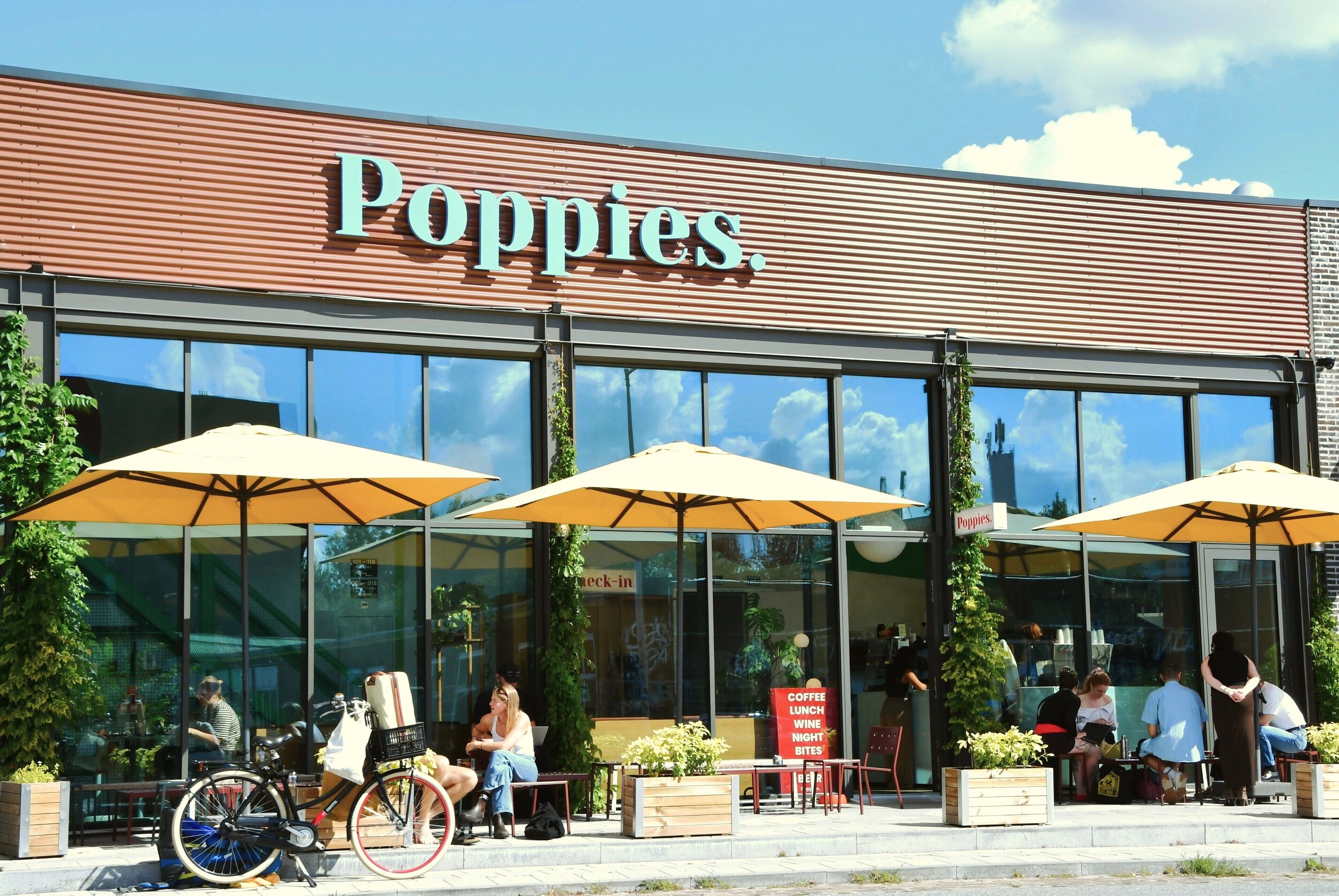 Foto - Poppies