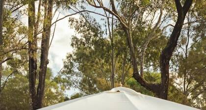 5 Acre Retreat Jimboomba (Double) by Tiny Away