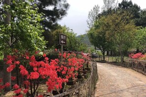 A paved pathway with a directional sign, surrounded by flowering plants and trees. - Liuxi Hostel (Jing County)