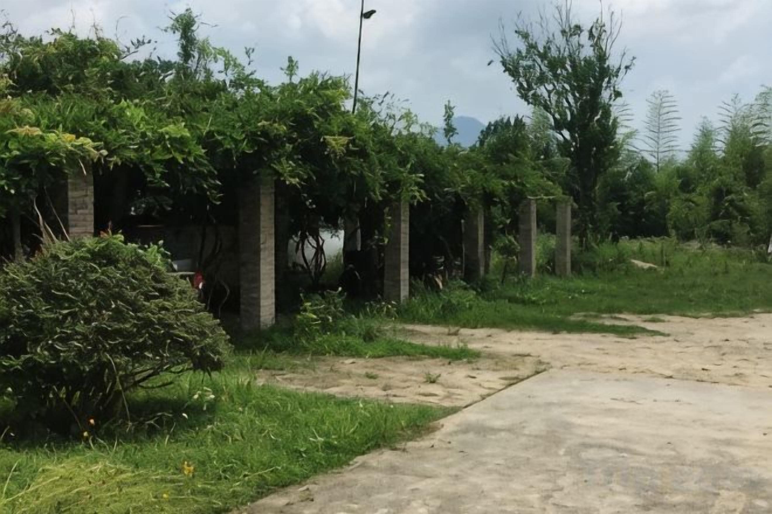 A concrete pathway leading through a garden with greenery and brick structures.