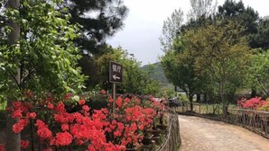Un sendero de piedra con un letrero que indica el camino a un restaurante.