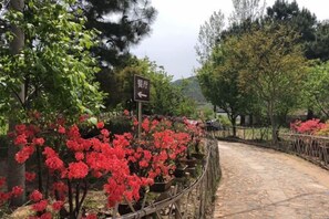 Un sendero de piedra con un letrero que indica el camino a un restaurante.