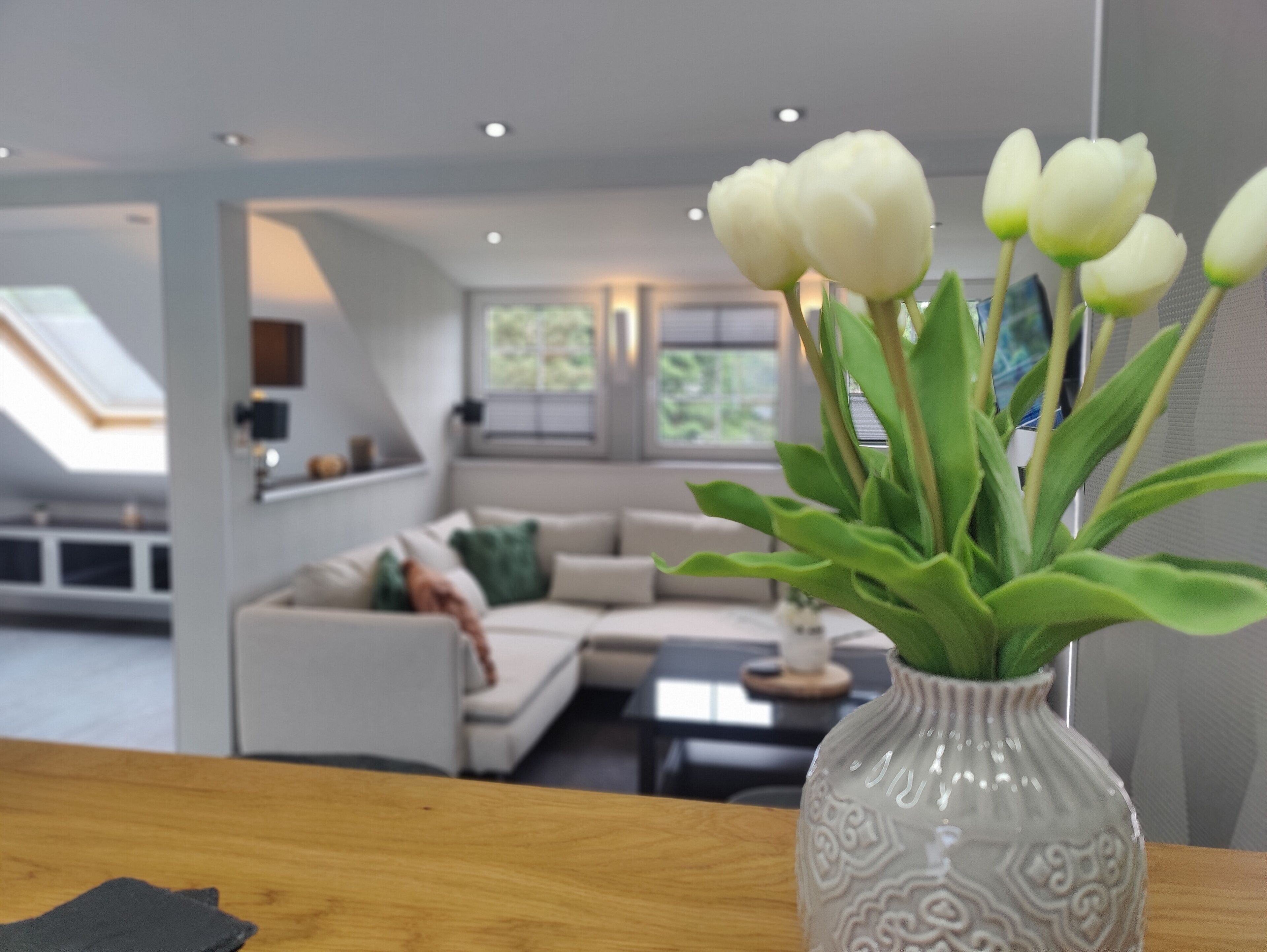 Smart TV, DVD player, books, stereo