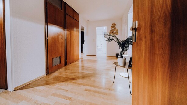 Un couloir avec un plancher en bois, une plante en pot et une porte blanche.