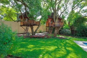 Property grounds - Charming Country Home In Bryanston (Johannesburg)