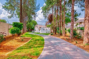 Property grounds - Charming Country Home In Bryanston (Johannesburg)