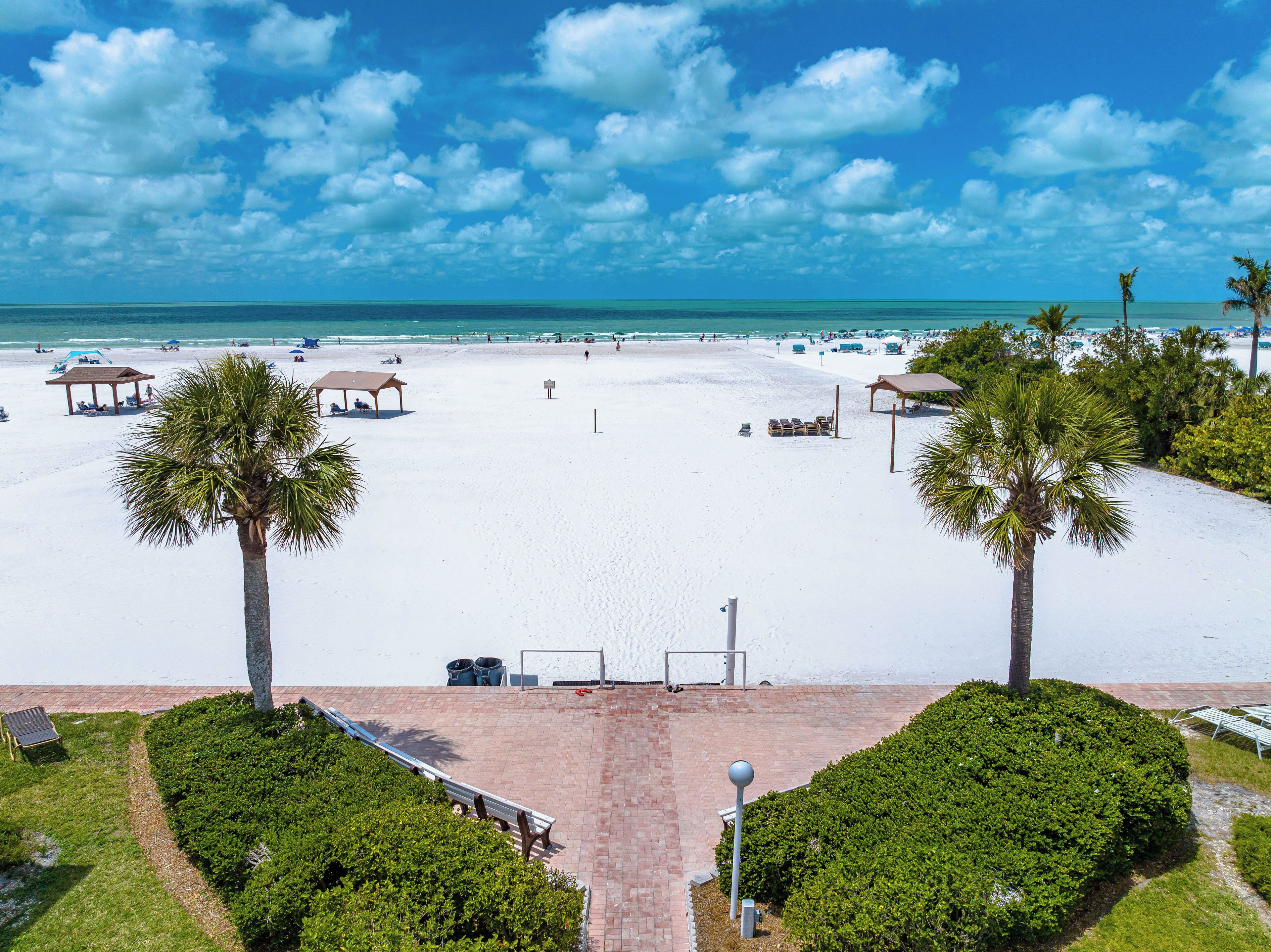 A beach with clear skies, palm trees, and a pathway leading to beach umbrellas.