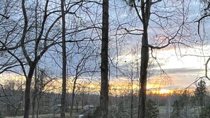 A forested area with trees and a body of water. - Secluded RV Camper Spot (Thomasville)