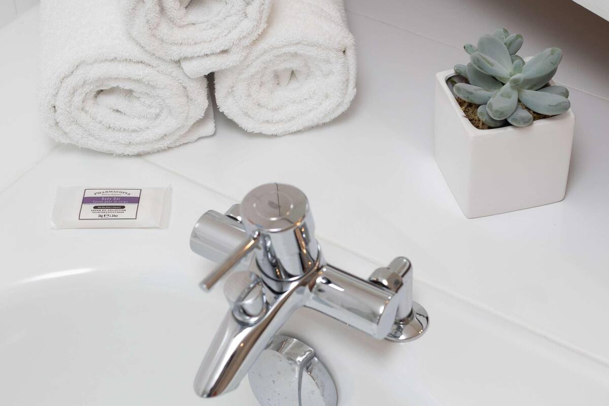A bathroom with a white sink, a silver faucet, rolled white towels, and a small potted succulent.