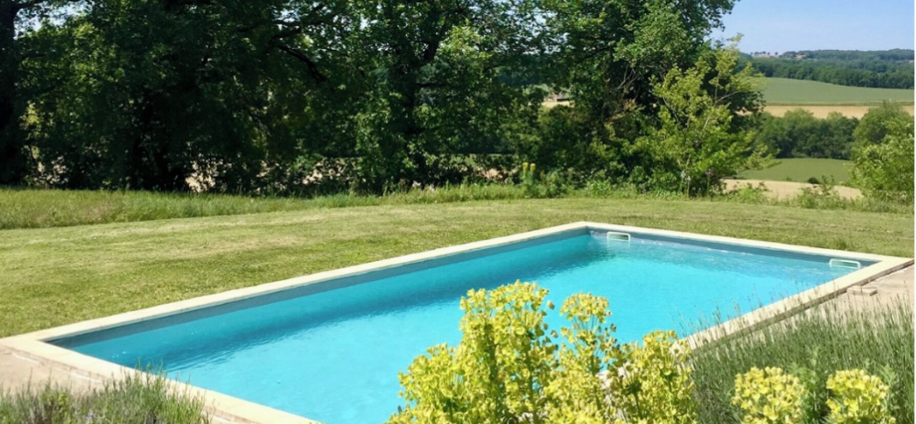 Ein rechteckiger Swimmingpool mit glasklarer blauer Wasseroberfläche, umgeben von einer Rasenfläche und Bäumen im Hintergrund.