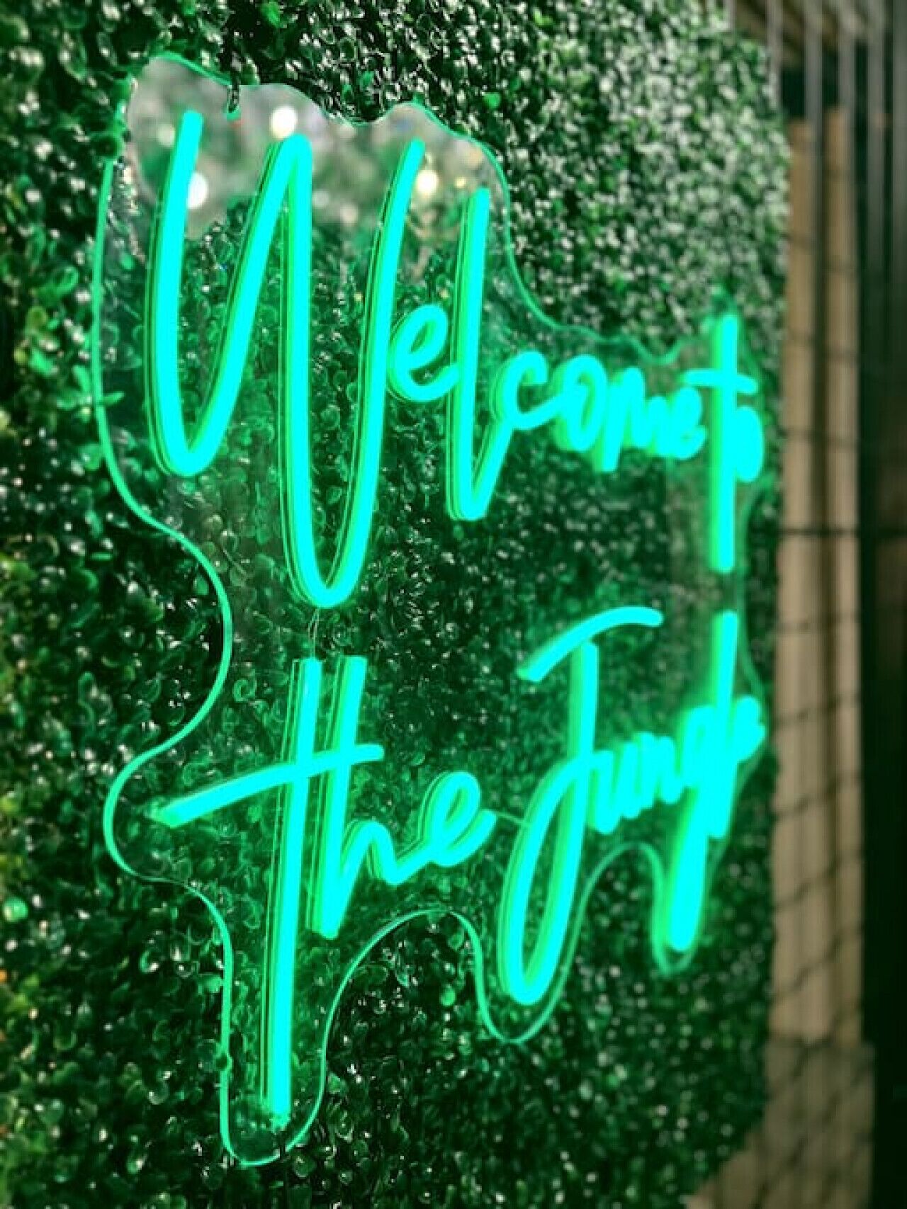 Unique & Opulent Rustic Luxury - No cleaning fee!