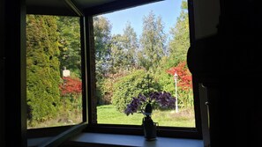 A window with a view of a garden, a potted plant on the windowsill, and a street lamp outside. - Thatched-roof cottage (78 m²) in the heart of the Butjadingen Peninsula, with a garden and a piano! (Butjadingen)