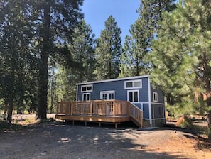 Escape to a serene forest retreat with a cabin featuring a spacious deck and stairs leading to a tranquil forest view.