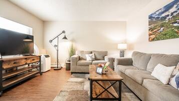 Smart TV, DVD player, video library