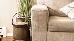 A living room with a beige sofa, a tall green plant, a metal lantern, and a floor lamp. - ❤Cozy in the Springs! 2 BR, Kitchen. 4 Guests!❤ (Colorado Springs)