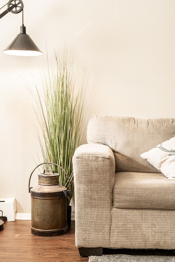 Smart TV, DVD player, video library