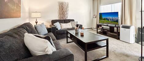 Smart TV, DVD player, video library