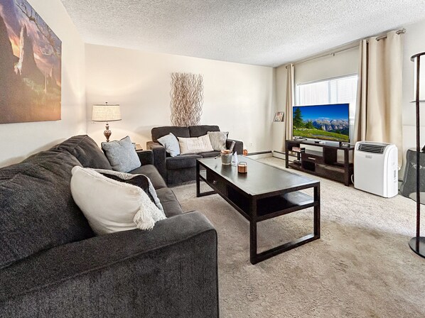 Smart TV, DVD player, video library