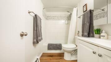 Hair dryer, towels, soap, shampoo