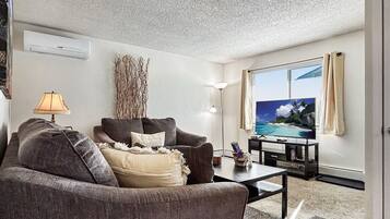 TV connectée, lecteur de DVD, livres