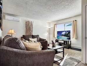 Téléviseur connecté, lecteur de DVD, livres