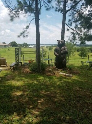 Parco della struttura