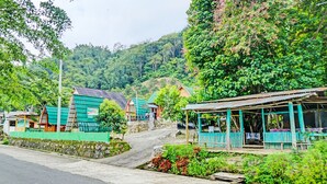 Ein beschauliches Dorf mit traditionellen Häusern, einer asphaltierten Straße und üppiger Vegetation.