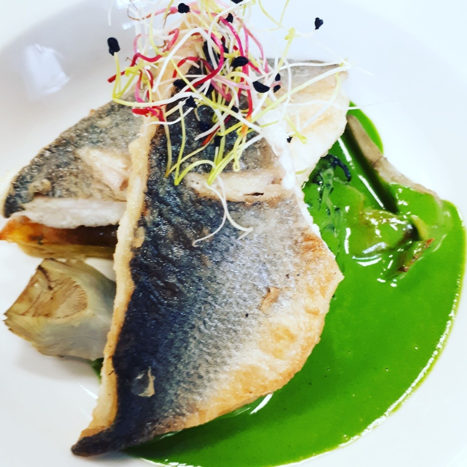 A plate with a piece of grilled fish, a slice of bread, and a green sauce.
