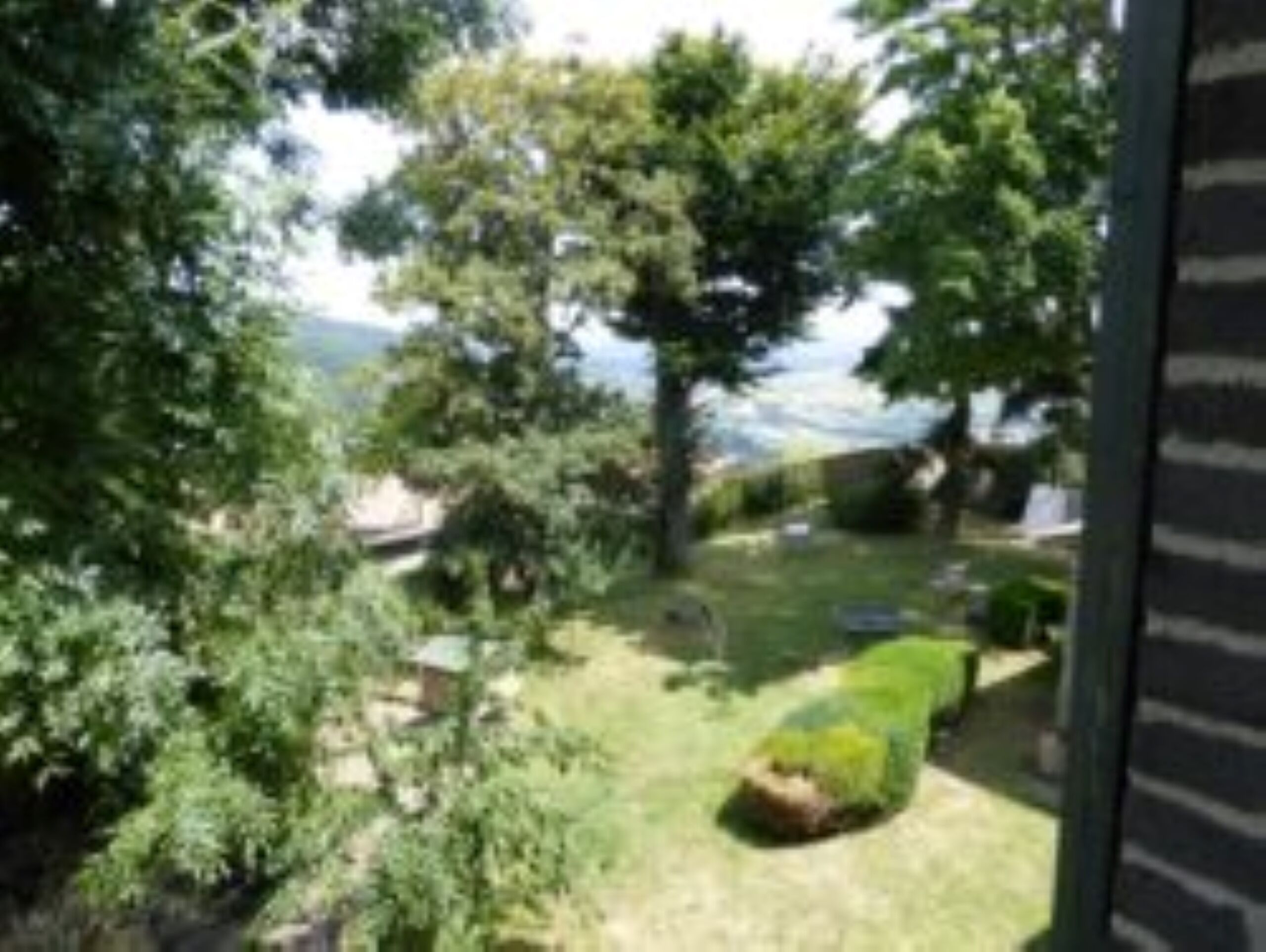 A view of a lush garden with a variety of trees and a well-maintained lawn.