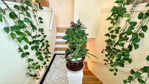 Un pasillo con suelo de patrón espiga, una planta en maceta en el centro y plantas trepadoras verdes en las paredes.