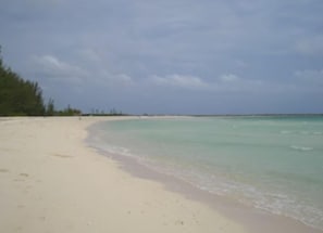 Plage à proximité, chaises longues, serviettes de plage