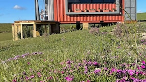 Une maison-container rouge, dotée d’une petite terrasse et d’une fenêtre, entourée d’un champ de fleurs violettes.