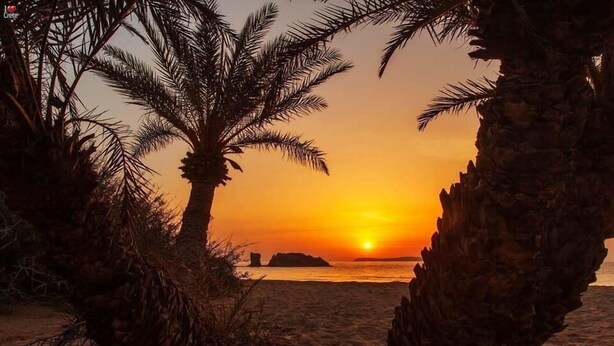 A sunset over a beach with palm trees and rocky formations.