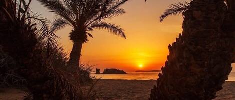 Klassieke kamer | Terras