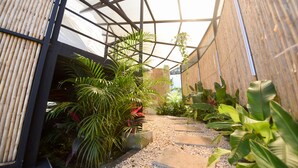 A covered garden path with plants and a wooden wall. - ALMA Glamping  (San Antonio)