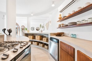 Fridge, oven, stovetop, dishwasher