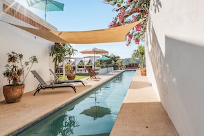 Outdoor pool, a lap pool