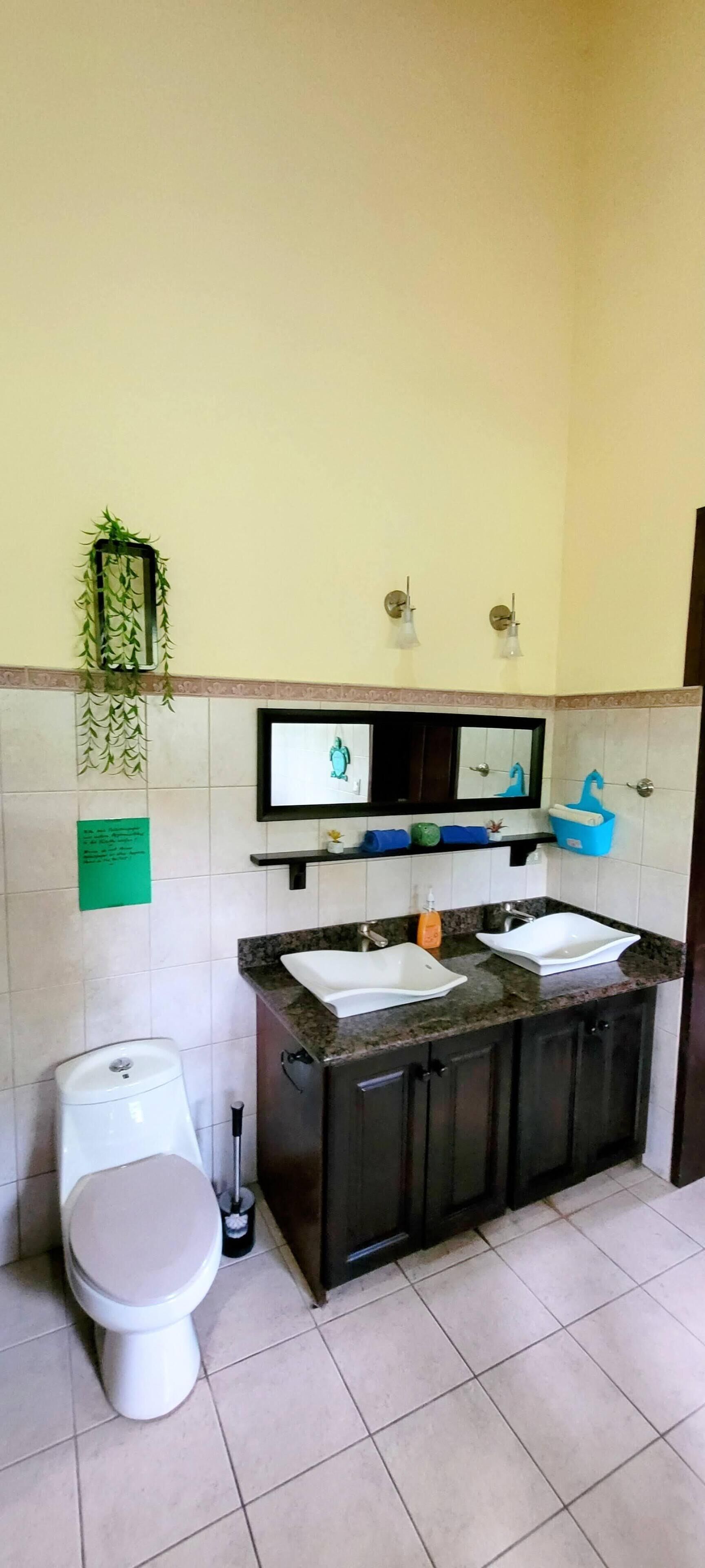 Deluxe suite in the Jungle with oceanview terrace