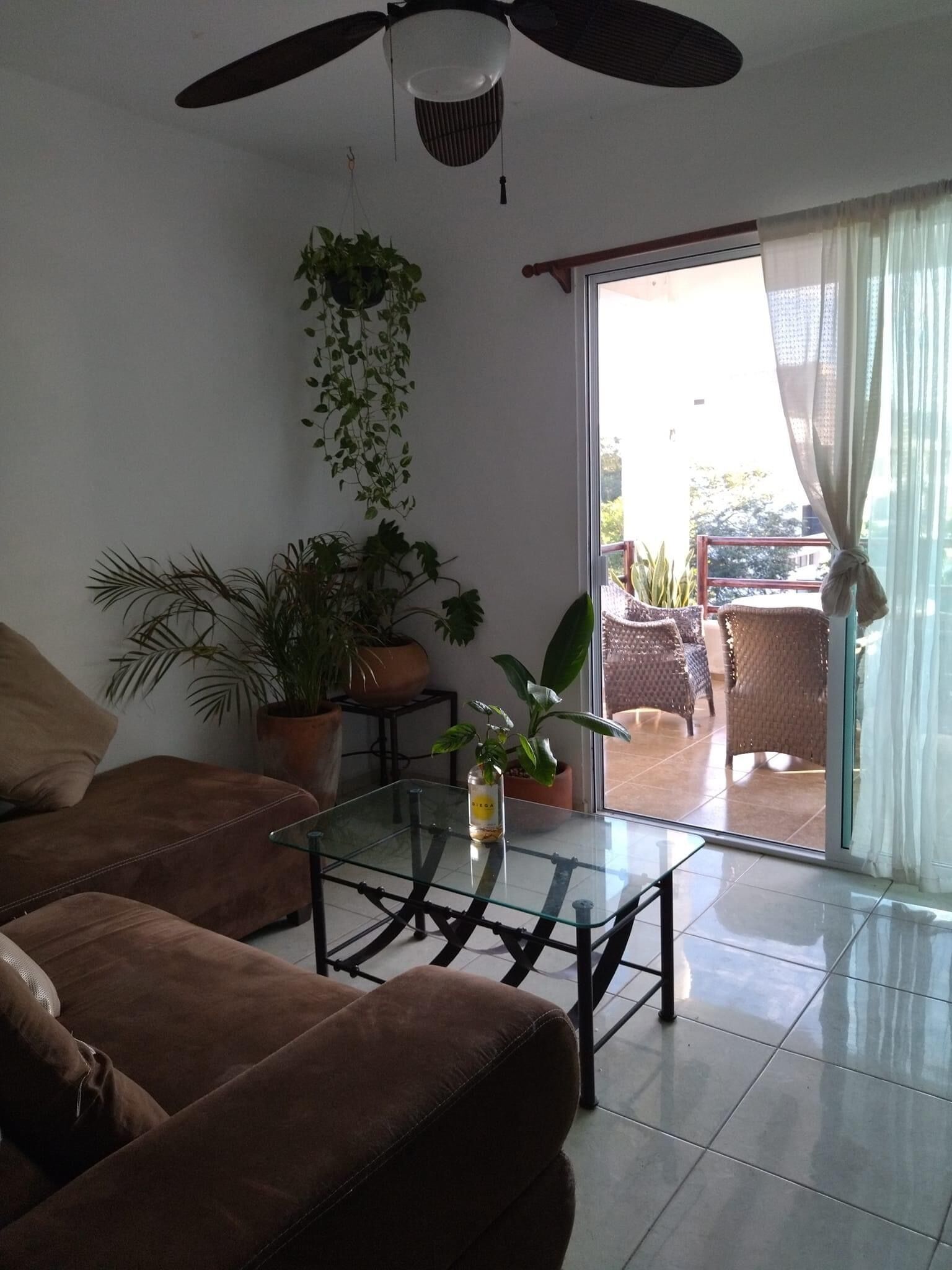 Private apartments with pool