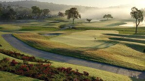 Een golfbaan met een duidelijke route, een vlag en een waterpartij in de verte.