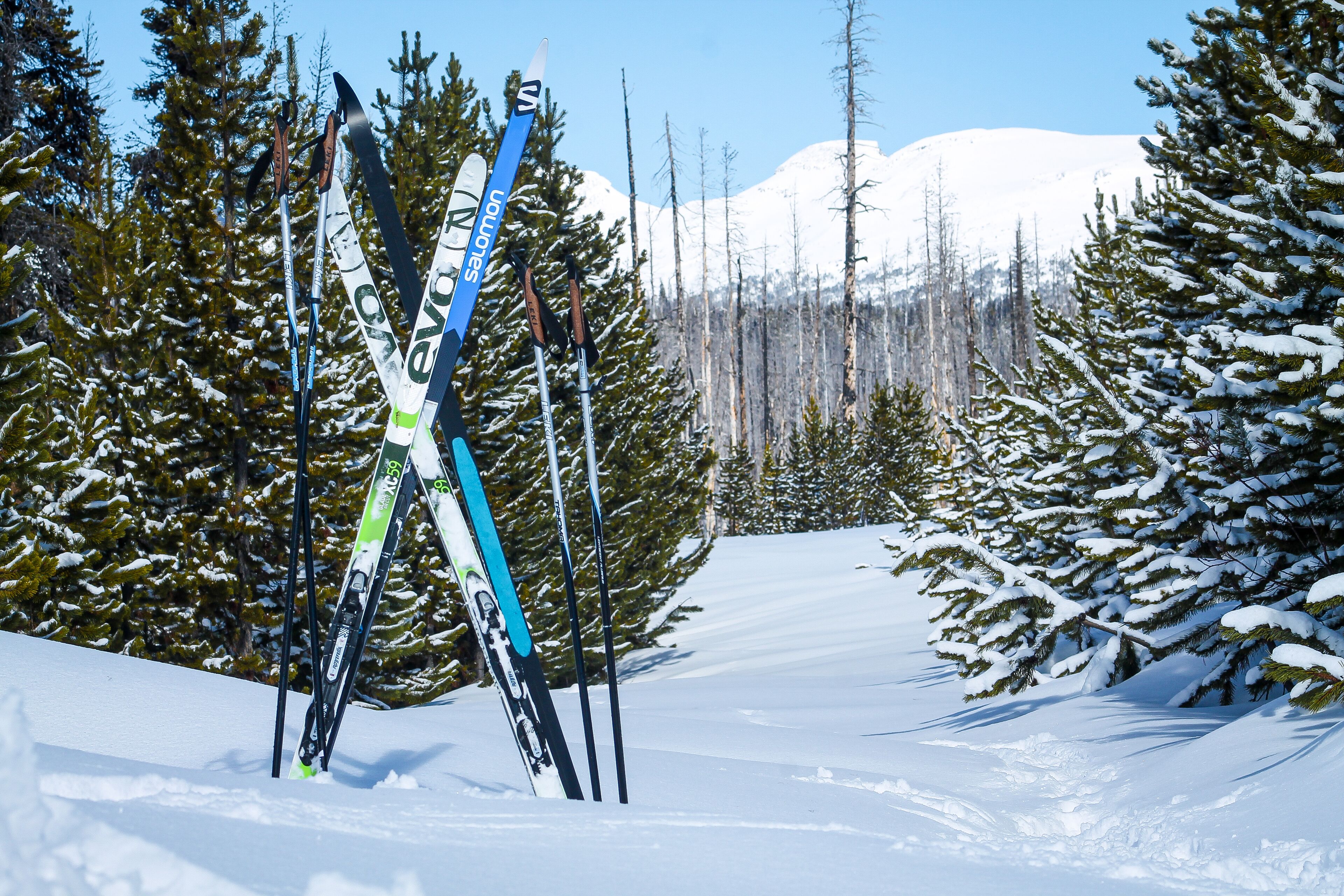 A snowy landscape with a ski slope, trees, and a mountain in the background.