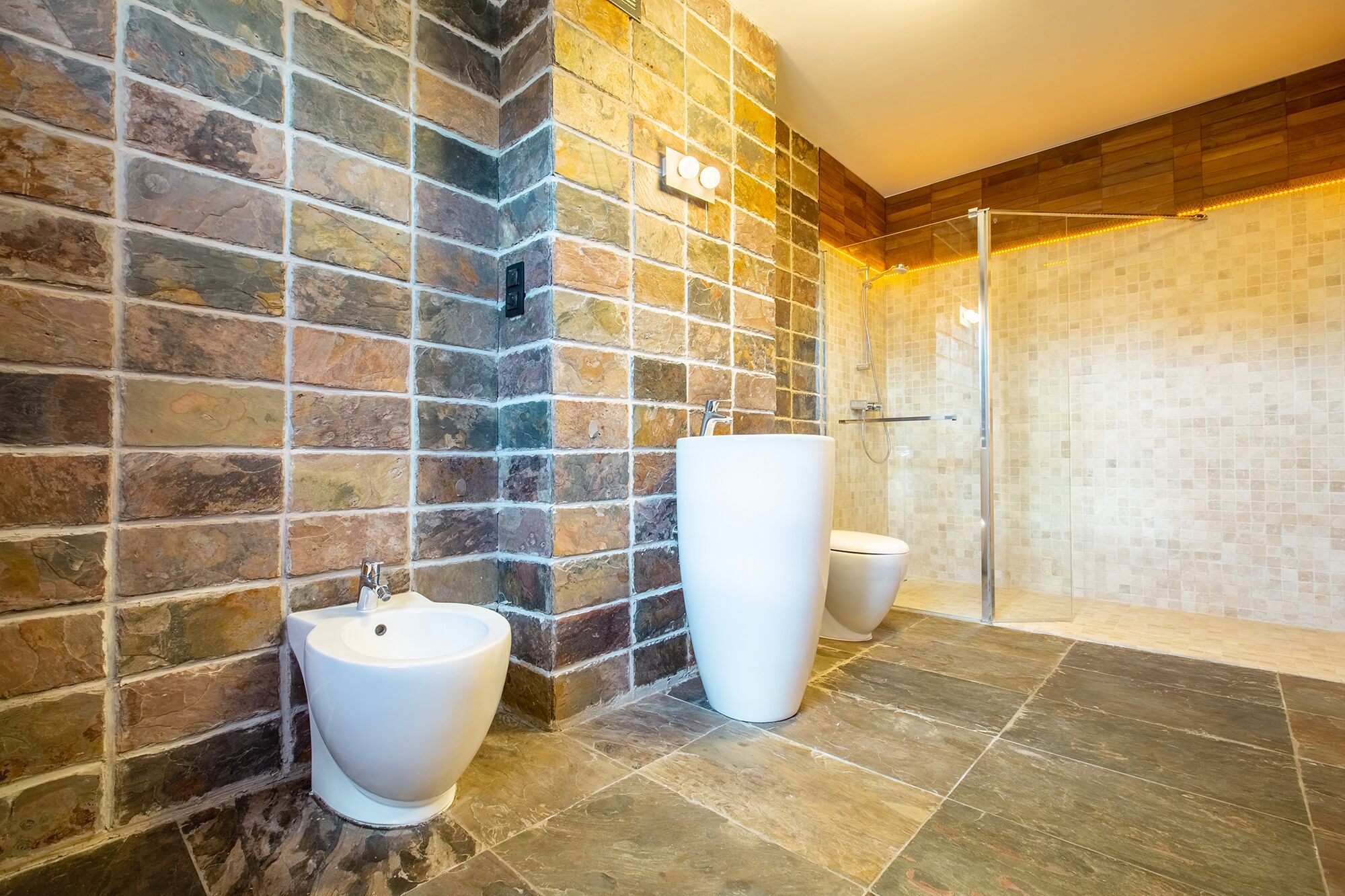Shower, hair dryer, bidet, towels