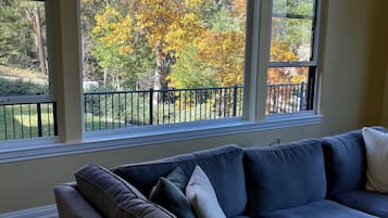 Smart TV, fireplace, DVD player, ping pong