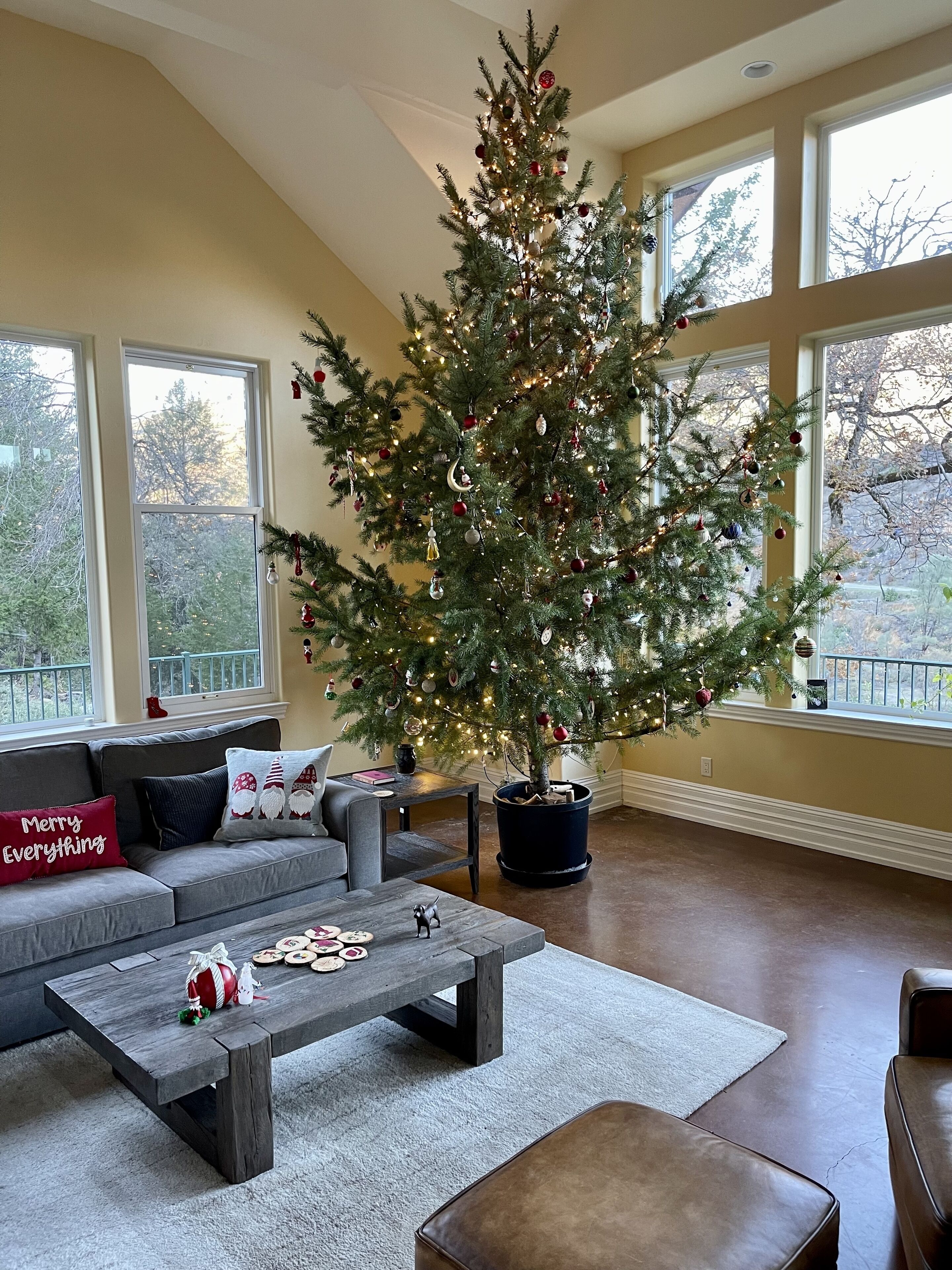 TV connectée, cheminée, lecteur de DVD, table de tennis de table