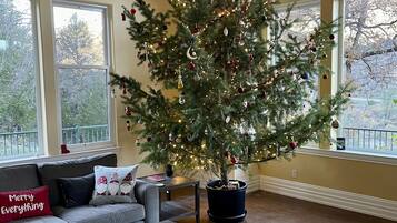 TV connectée, cheminée, lecteur de DVD, table de tennis de table