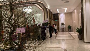 A modern hotel lobby with a reception desk, a large indoor plant, and a curved glass wall. -  Quynh Trang Hung Yen Hotel (Nhu Quynh)