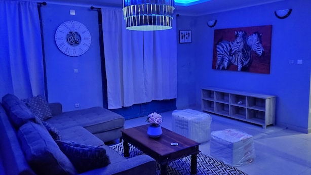 A modern living room with a sofa, a coffee table, a fireplace, and a zebra painting on the wall. - Mike's Flat hotel (Kinshasa)