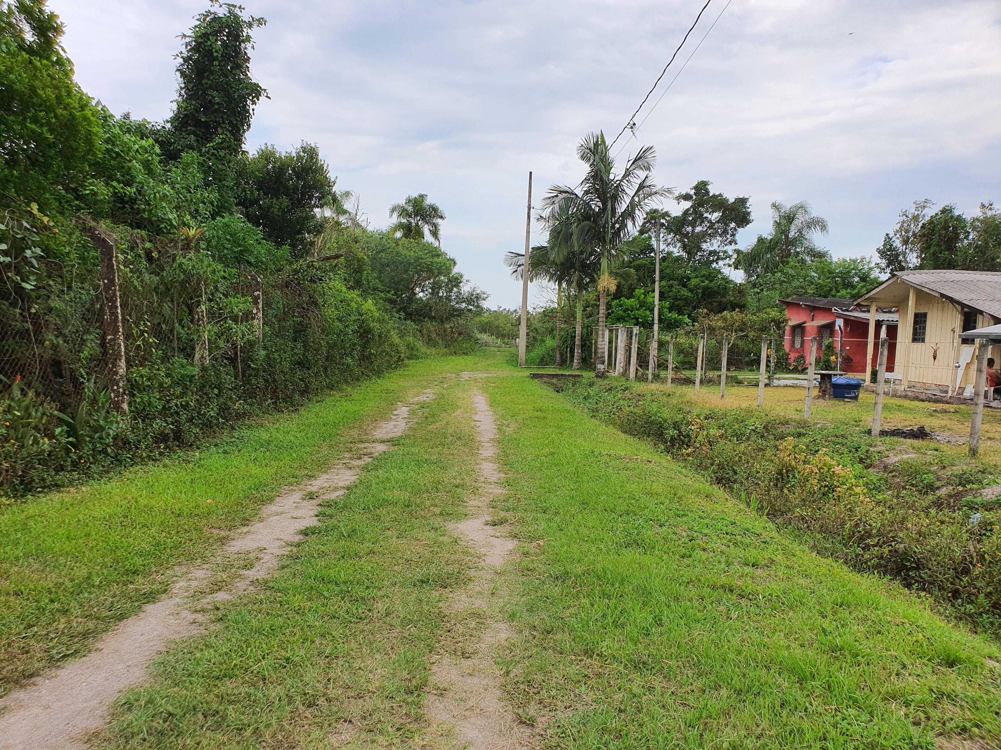 A rural road flanked by dense vegetation and a small house with a red roof.