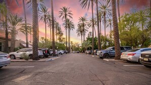 A parking lot with multiple cars parked along the sides, surrounded by tall palm trees.