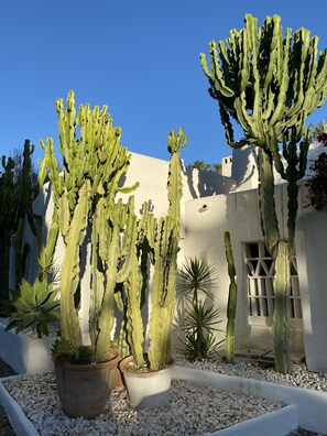 Details aan de buitenkant